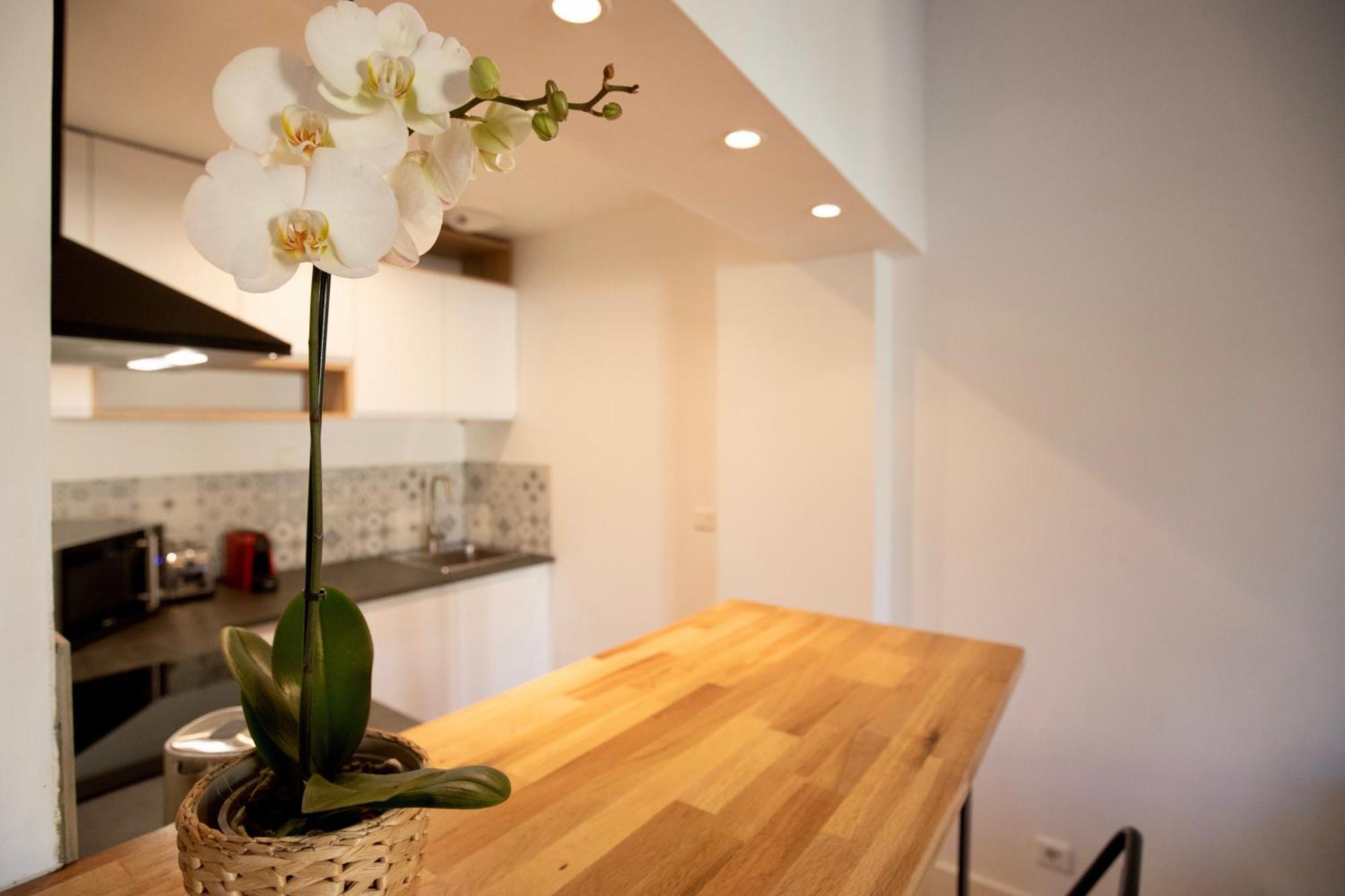 Home Chic Home - Les Toits De Sainte-Ursule Montpellier Ngoại thất bức ảnh